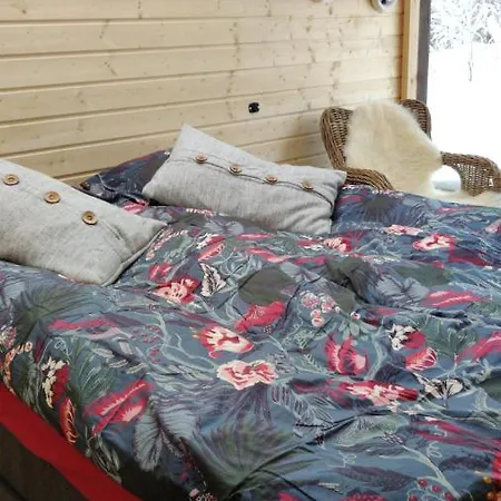 Polar Lights Chalet *