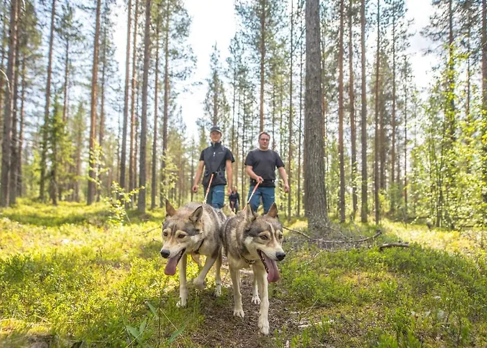 Lomamökit Polar Lights